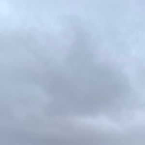 Meet your Posher, Katryna